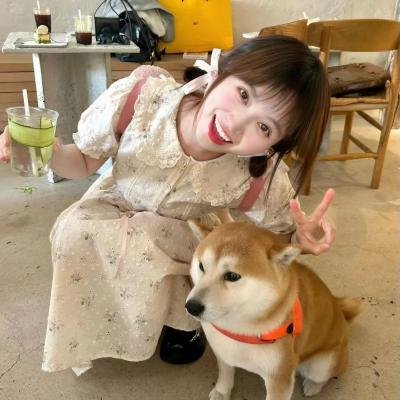 温暖渐冻心 海报