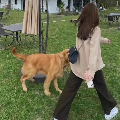 塔尔萨之王 海报